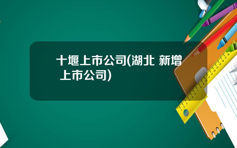 十堰上市公司(湖北 新增 上市公司)